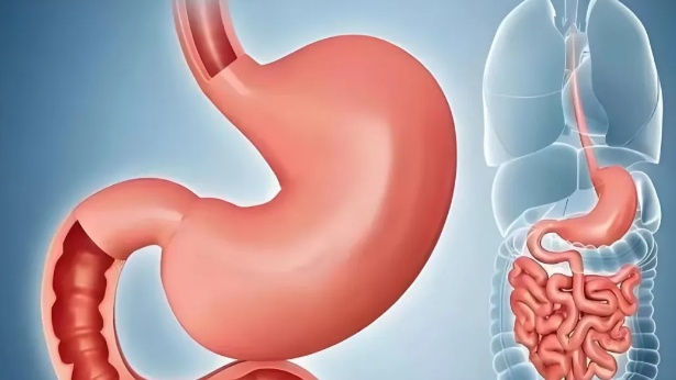 头条丨节后肠胃“闹脾气”？俞医生教你用好益生菌这剂“良药”